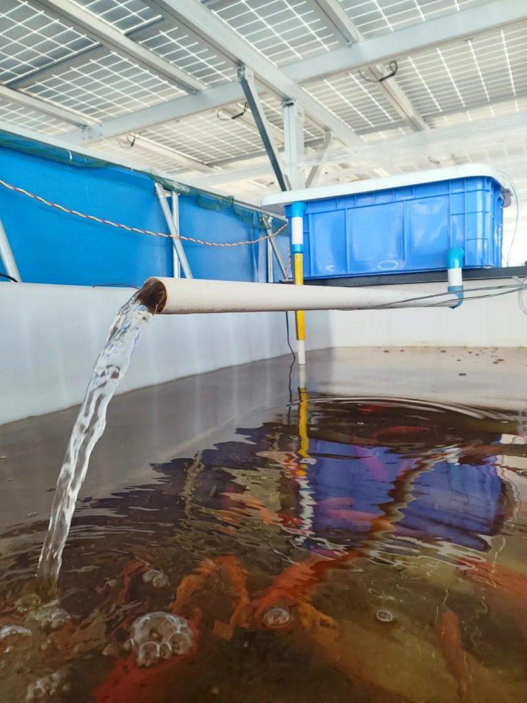 AG�콢��(�й�)�ٷ���վ����